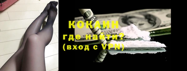 мет Алексин