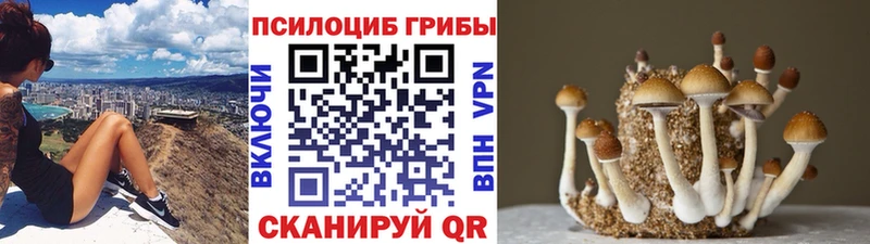 Псилоцибиновые грибы MAGIC MUSHROOMS  Сольвычегодск 